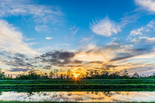 Everglades scenic view sunset in Florida