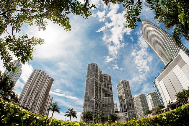 Miami skyscraper views with plant scenery in Florida, USA