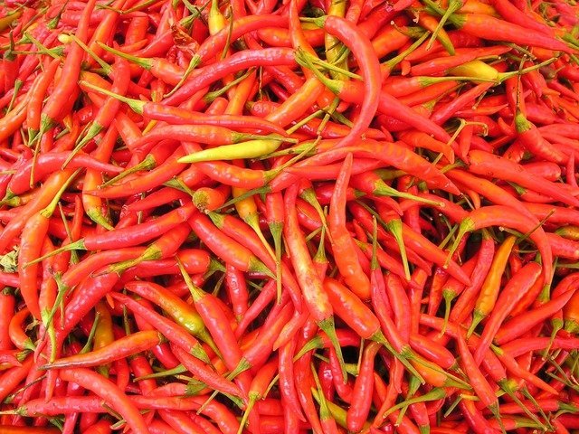 Chili peppers in Southeast Asia 