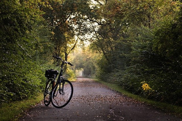 Bicycle on the path out in nature