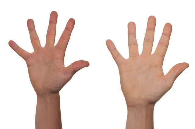 Volunteer two hands