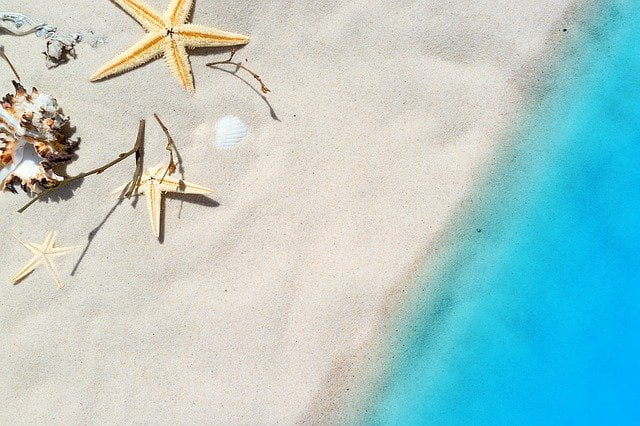 Beach starfish 