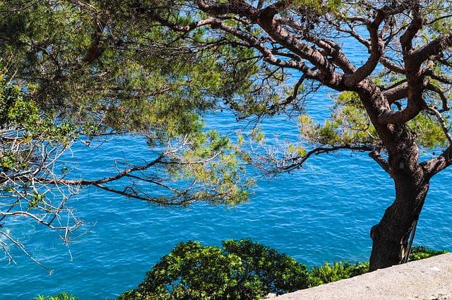 Top 5 Landmarks to Photograph in Monaco