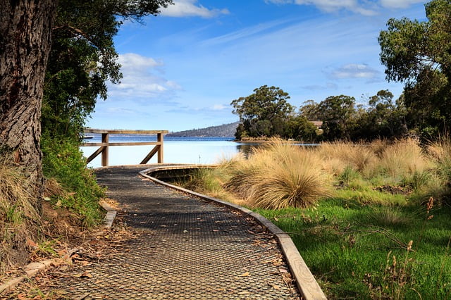 Tasmania path