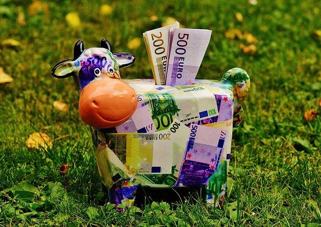 Piggy bank money