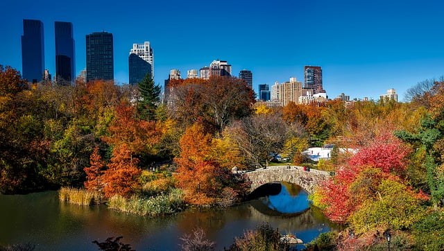 New York City autumn colors in Central Park, USA