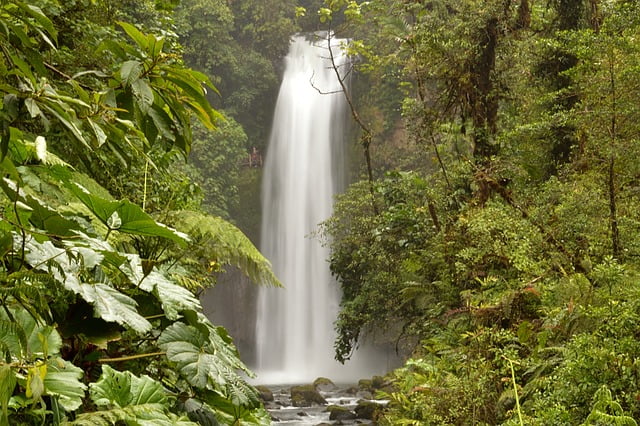 Scenic waterfall views in the jungle of Costa Rica