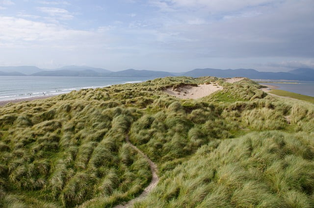 Ireland coastal views of the grass, beach and sea