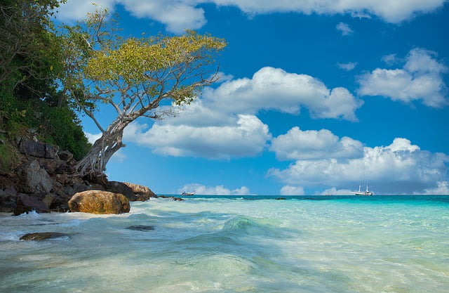 Thailand beach tree scenic views