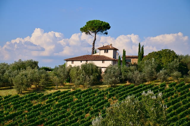 Tuscany villa vineyard in Italy
