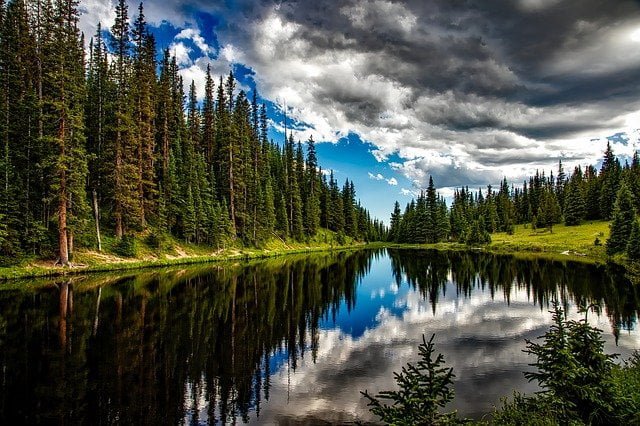 Beautiful still lake with reflections and forest views