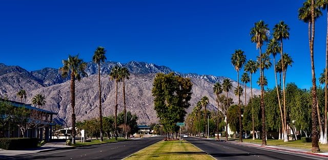 Palm Springs Views